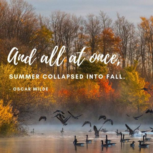 100 Of The Best Fall Hashtags For Instagram (2024)