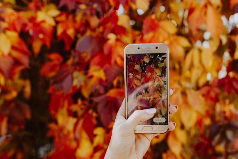 Woman's hand holding a phone taking a photos of fall foliage: Fall hashtags for Instagram