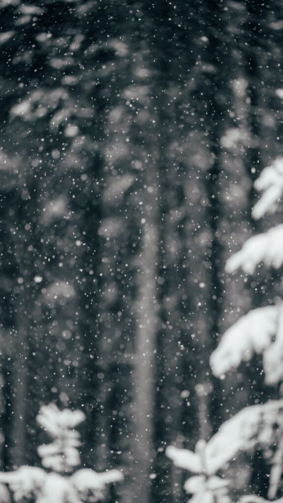 Winter wallpapers for iPhones Snow falling in the woods