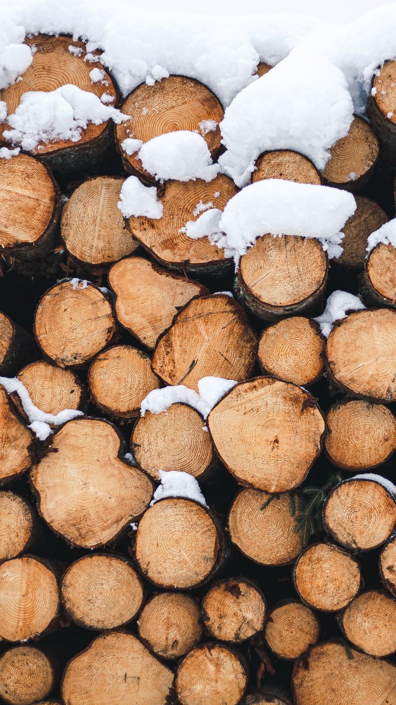 Winter wallpapers for iPhones snow covered logs