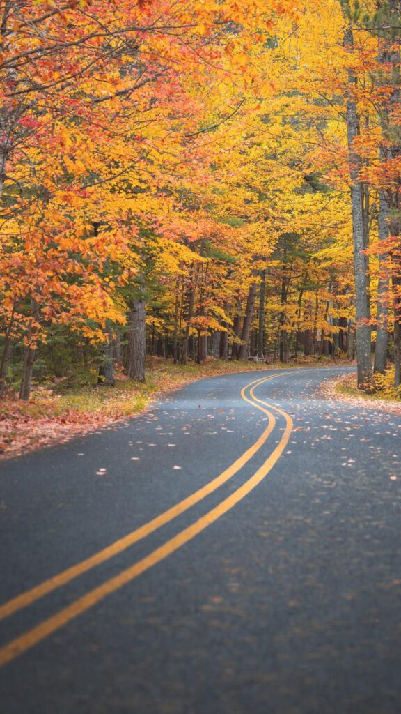 Fall Wallpapers for iPhone Fall Road