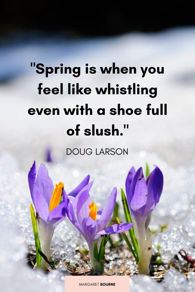 Spring Quotes For Instagram Slush Doug Larson
