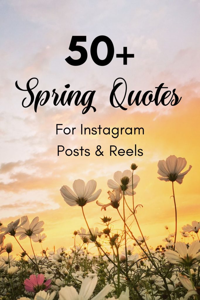 Spring Quotes for Instagram Posts And Reels Pin1