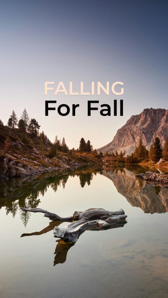 60+ Fall Wallpapers For iPhone Screens To Get Into The Autumn Vibe 33 Fall wallpapers for iPhone