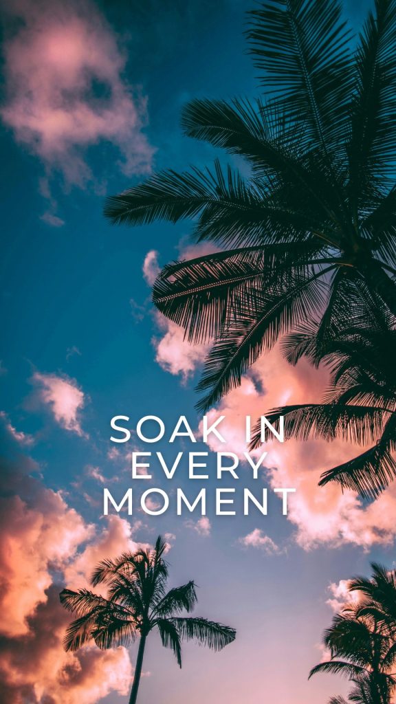 Summer Wallpaper for iPhone lock screens palms in the evening