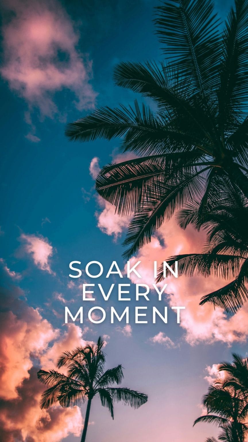40+ Gorgeous Summer Wallpapers For IPhone Lock Screens